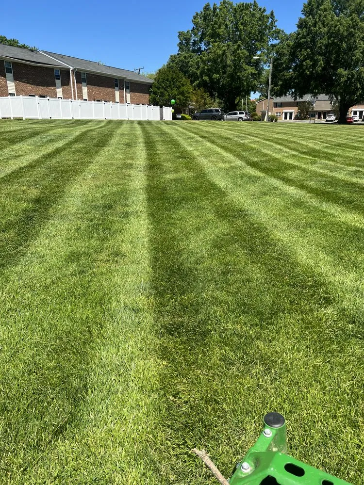 Top-rated residential landscaping near you in Randleman, NC by Paschal Landscaping