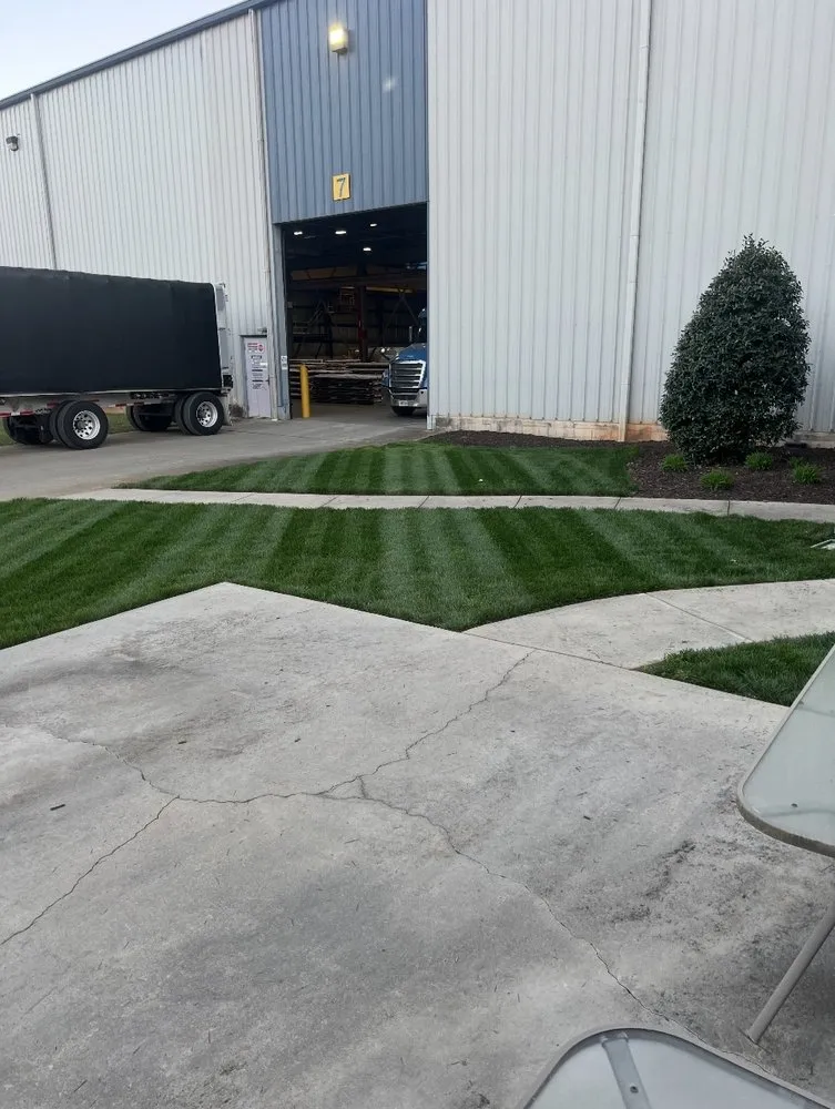 Top-rated yard cleanup service in Randleman, NC - Paschal Landscaping