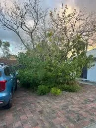 Custom residential landscaping in Zephyrhills, FL by Pasco Lawn and Land Cleanup