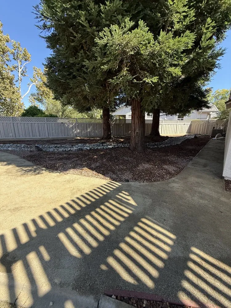 Affordable lawn care service in Citrus Heights, CA - Pascual Landscape & Maintenance Services