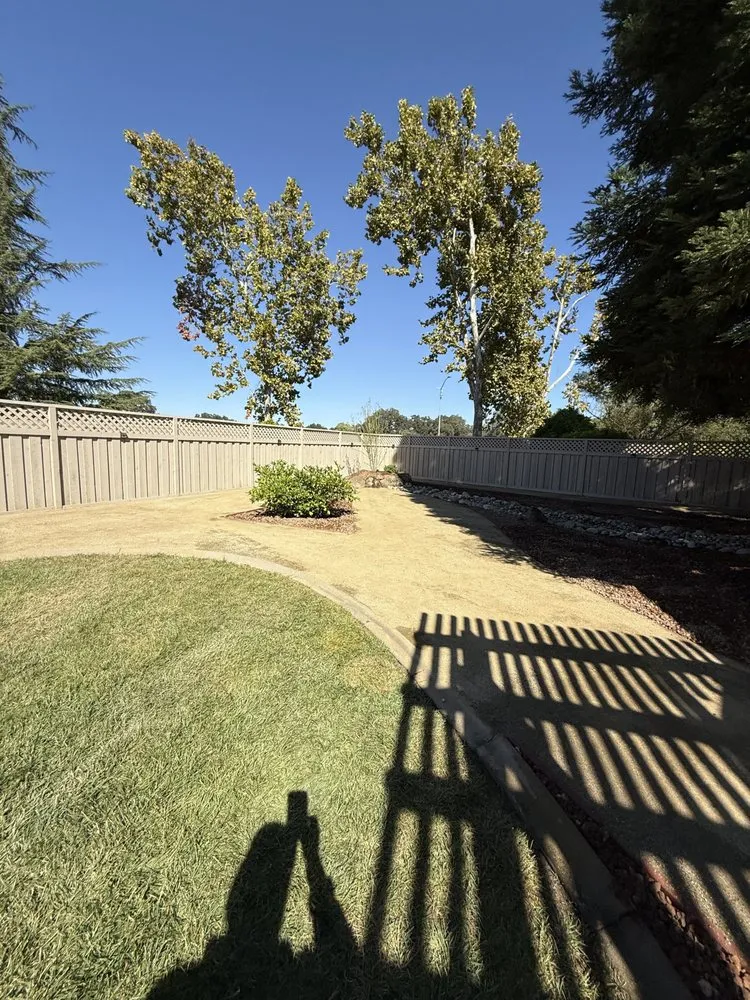 Local yard cleanup service in Citrus Heights, CA by Pascual Landscape & Maintenance Services