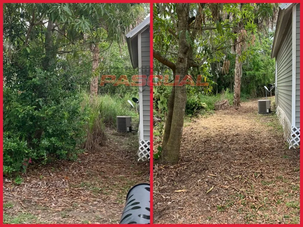 Trusted lawn care service in Wauchula, FL - Pascual Services