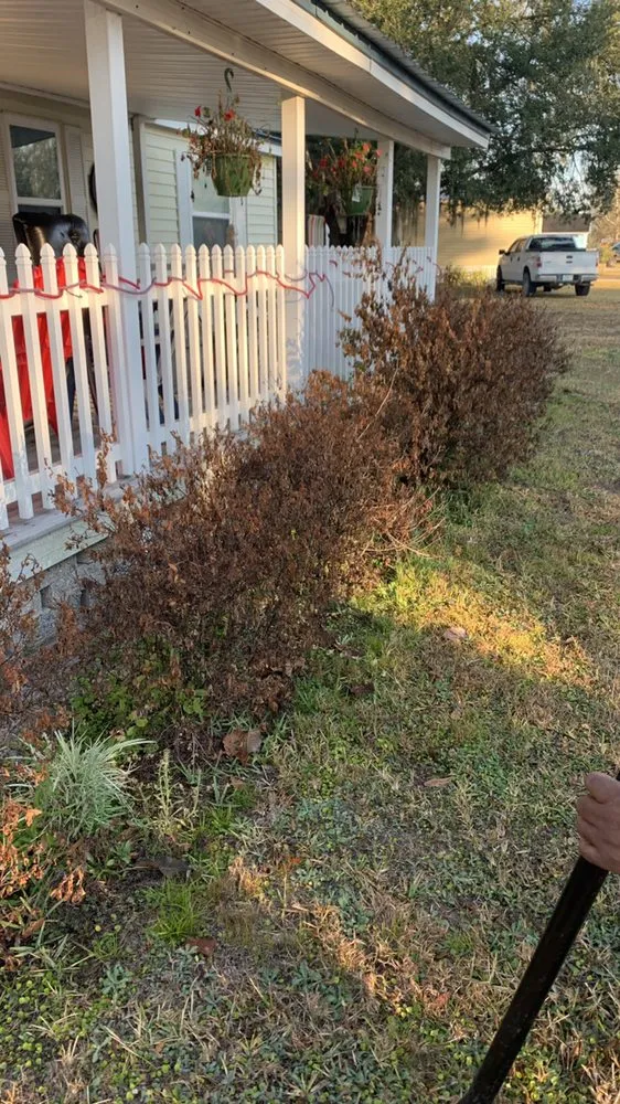 Top-rated yard maintenance for homes across Wauchula, FL - Pascual Services