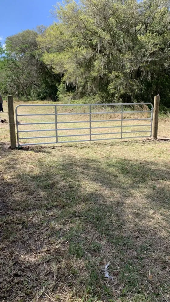 Custom residential landscaping for outdoor upgrades in Wauchula, FL by Pascual Services