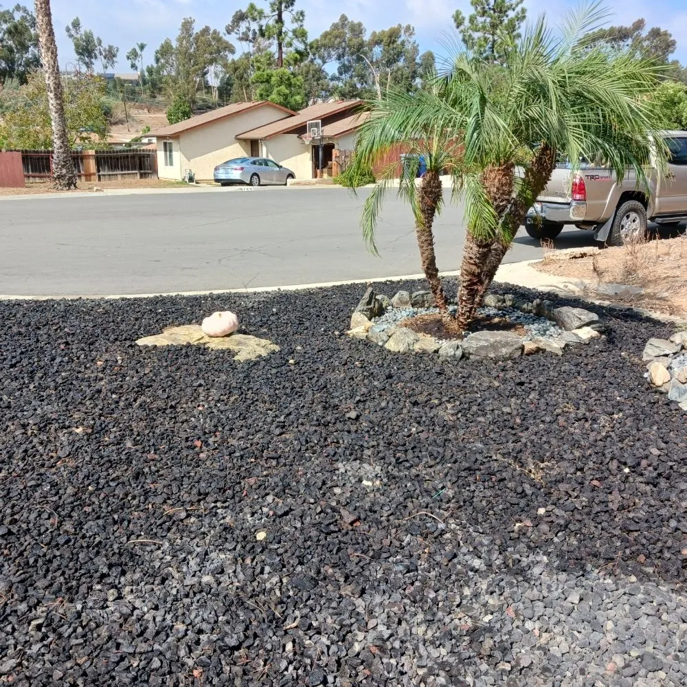 Custom lawn mowing service near you across Escondido, CA - Pascual's Handyman Landscape Services