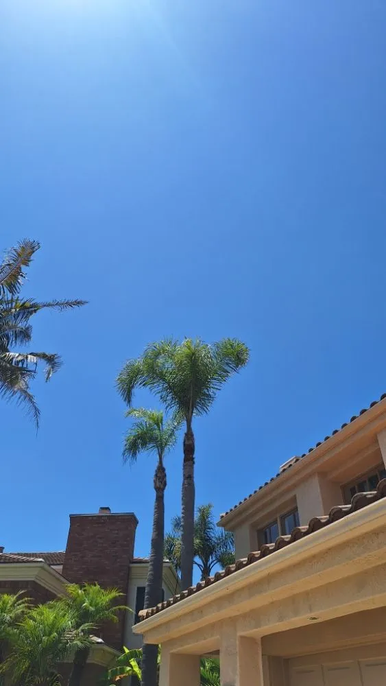 Custom yard cleanup service experts serving Escondido, CA - Pascual's Handyman Landscape Services