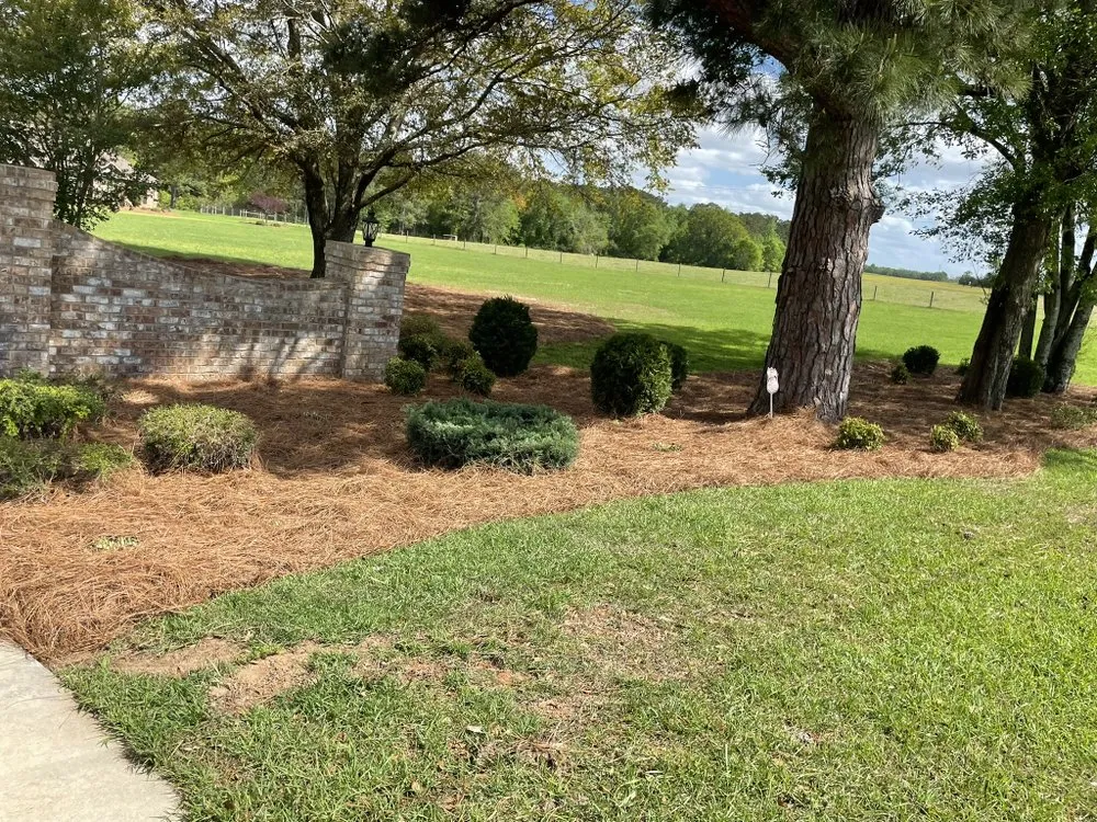 Professional landscape installation in Enterprise, AL by Pascual's Landscape Caring Service