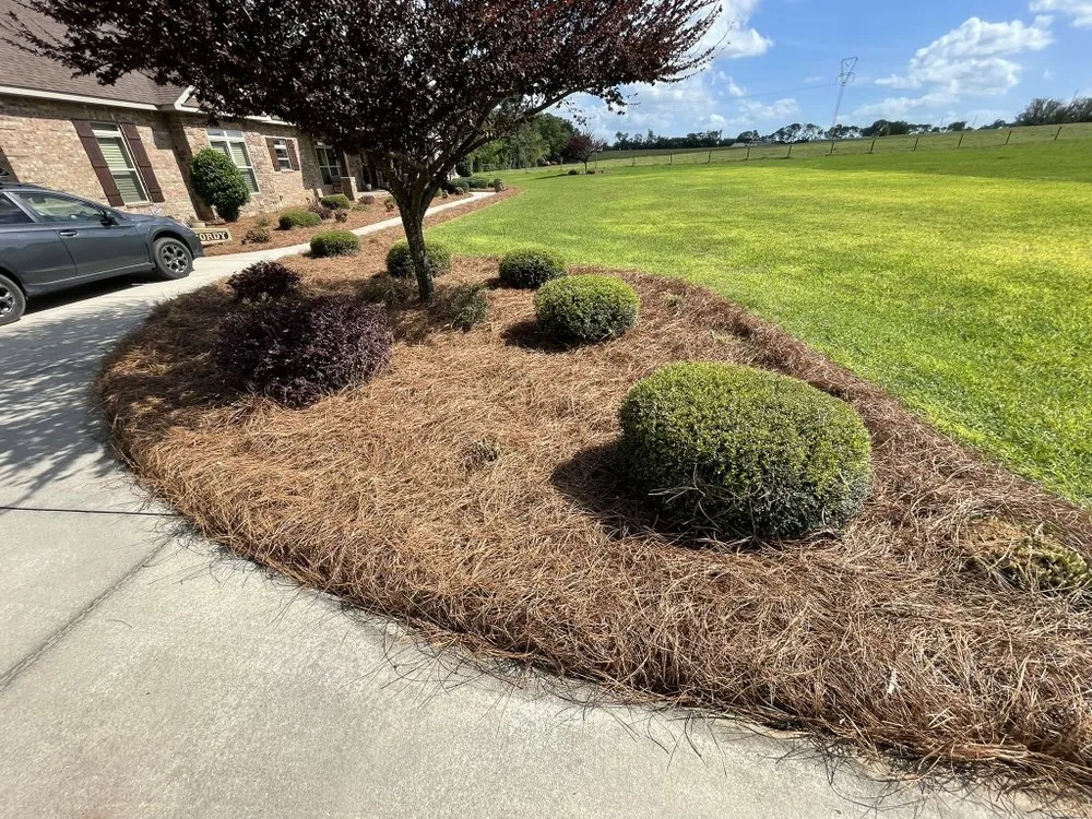 Affordable yard maintenance in Enterprise, AL by Pascual's Landscape Caring Service