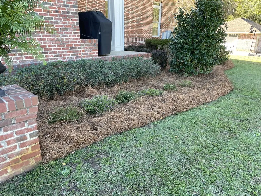 Top-rated residential landscaping for beautiful yards in Enterprise, AL by Pascual's Landscape Caring Service