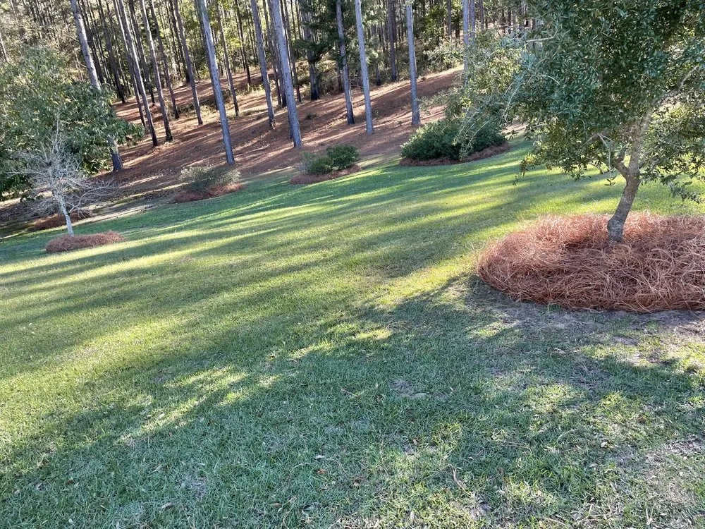 Affordable outdoor landscaping for residential properties in Enterprise, AL by Pascual's Landscape Caring Service