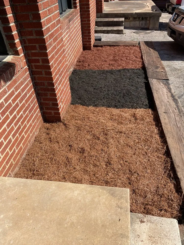 Custom yard maintenance in Enterprise, AL - Pascual's Landscape Caring Service