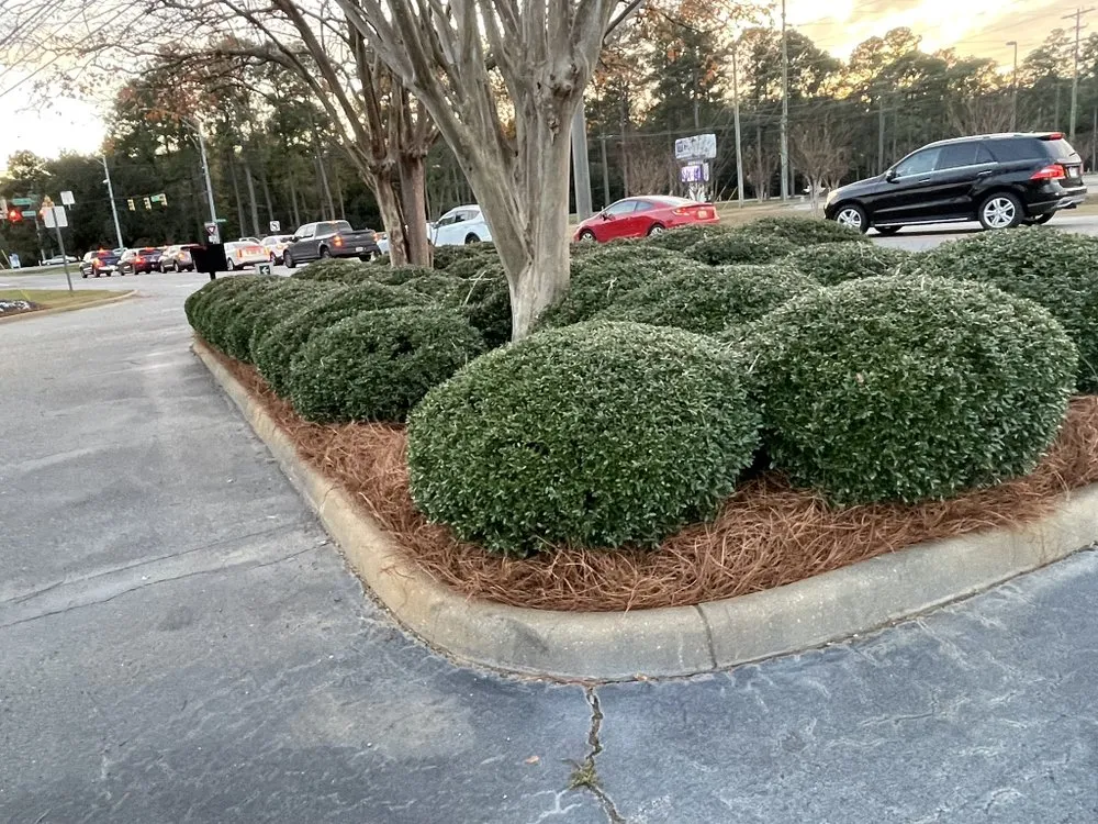 Top-rated garden landscaping in Enterprise, AL - Pascual's Landscape Caring Service