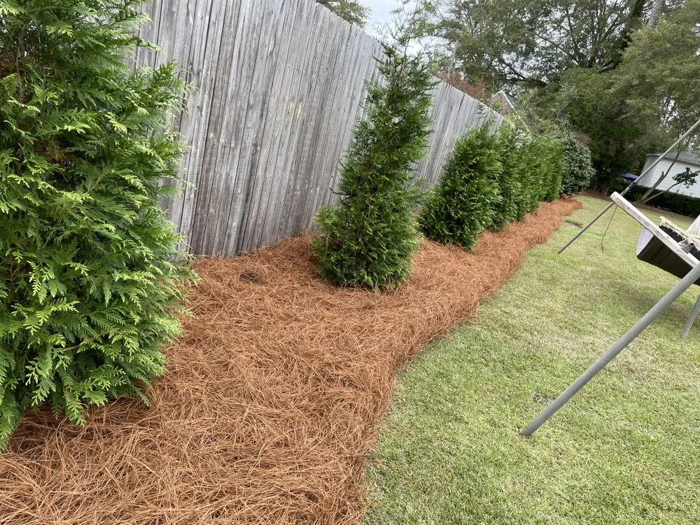 Reliable landscape design near you across Enterprise, AL - Pascual's Landscape Caring Service