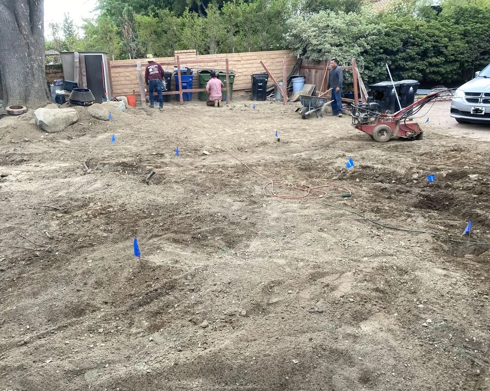 Local landscaping services experts serving Los Angeles, CA - Pascual's Tree Trimming & Landscape