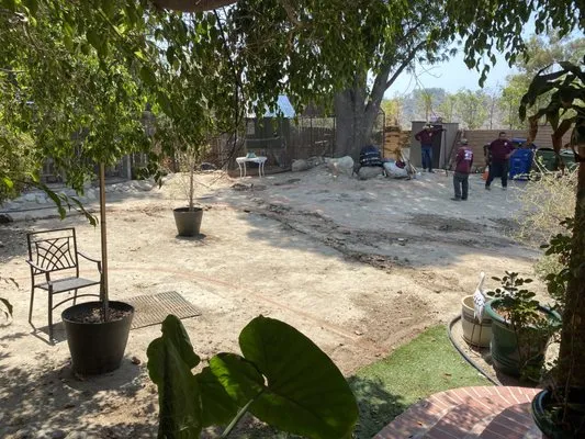 Pascual's Tree Trimming & Landscape Logo