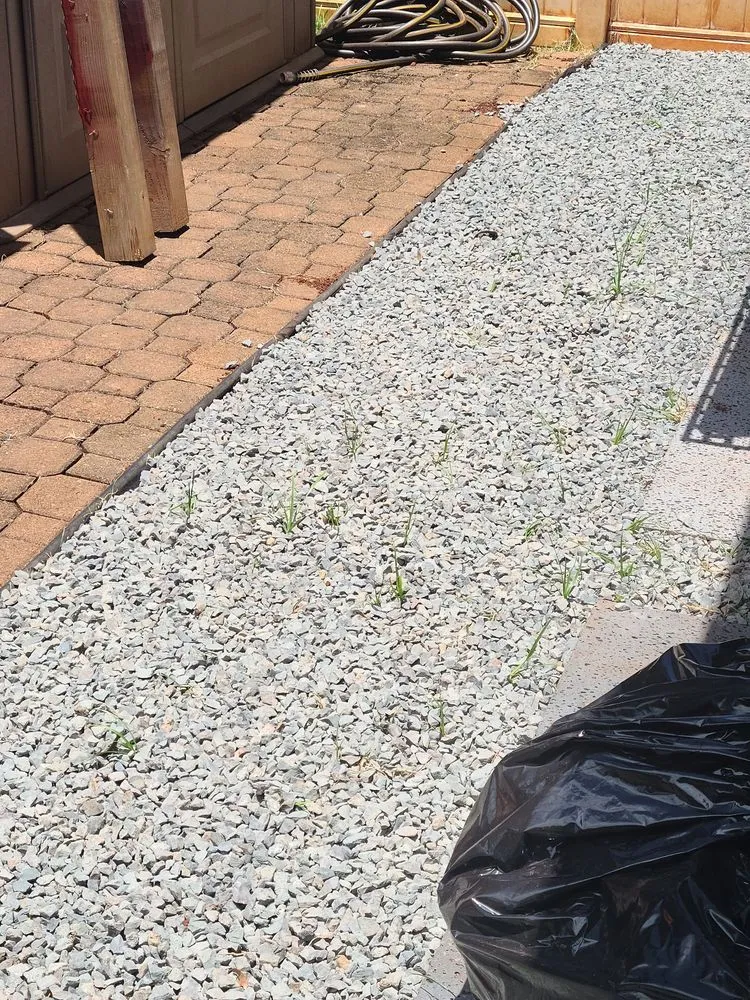 Top-rated landscape installation near you across Honolulu, HI - Pascual's Yard Services