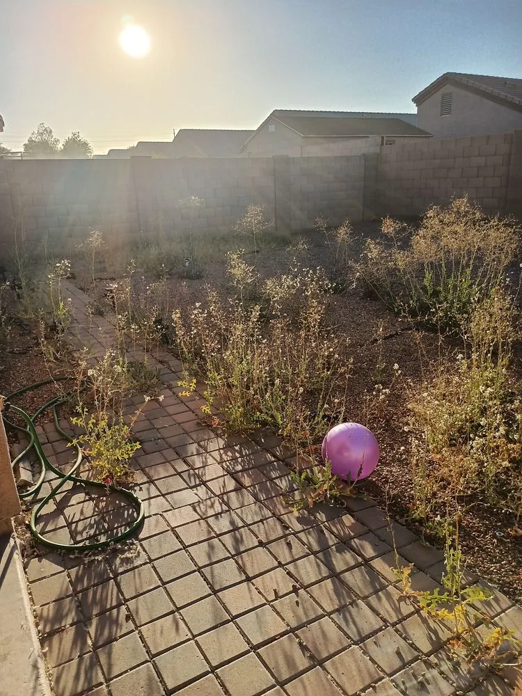 Local lawn mowing service in Peoria, AZ by Paseo Hardscapes