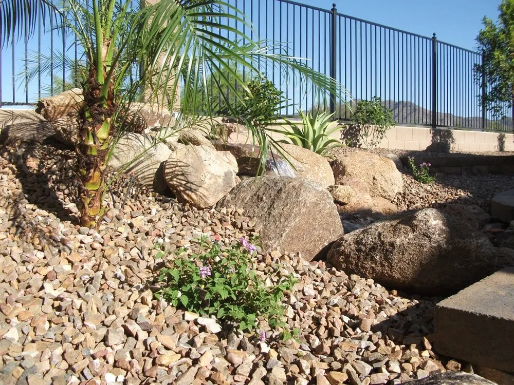 Affordable yard cleanup service in Peoria, AZ by Paseo Hardscapes