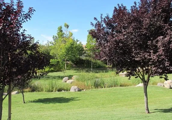 Trusted landscaping services for residential properties in Paso Robles, CA by Paso Robles Landscaping