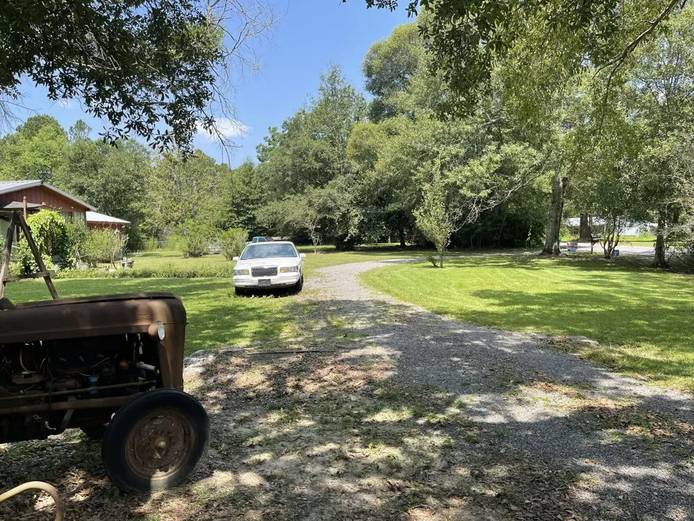 Local yard cleanup service for outdoor upgrades in Pascagoula, MS by Pass Point Lawn