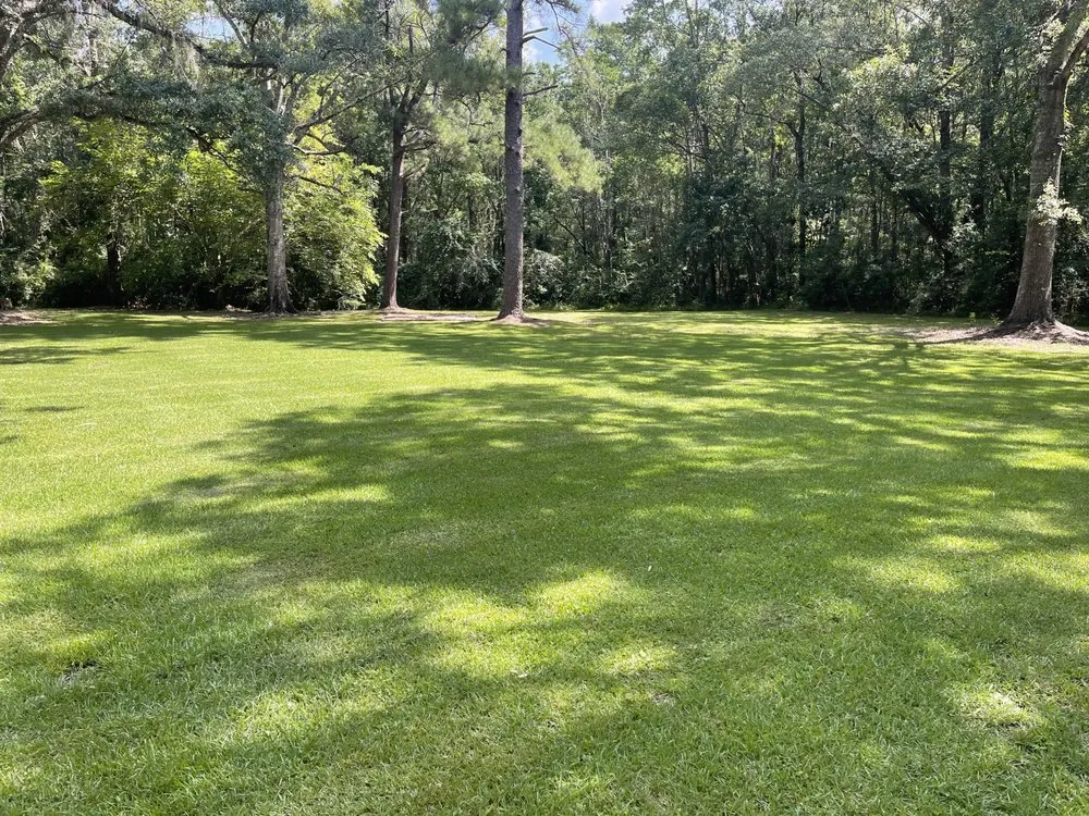 Trusted lawn mowing service in Pascagoula, MS - Pass Point Lawn