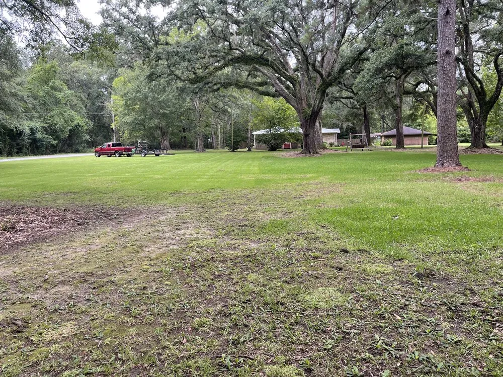 Reliable yard cleanup service for beautiful yards across Pascagoula, MS - Pass Point Lawn