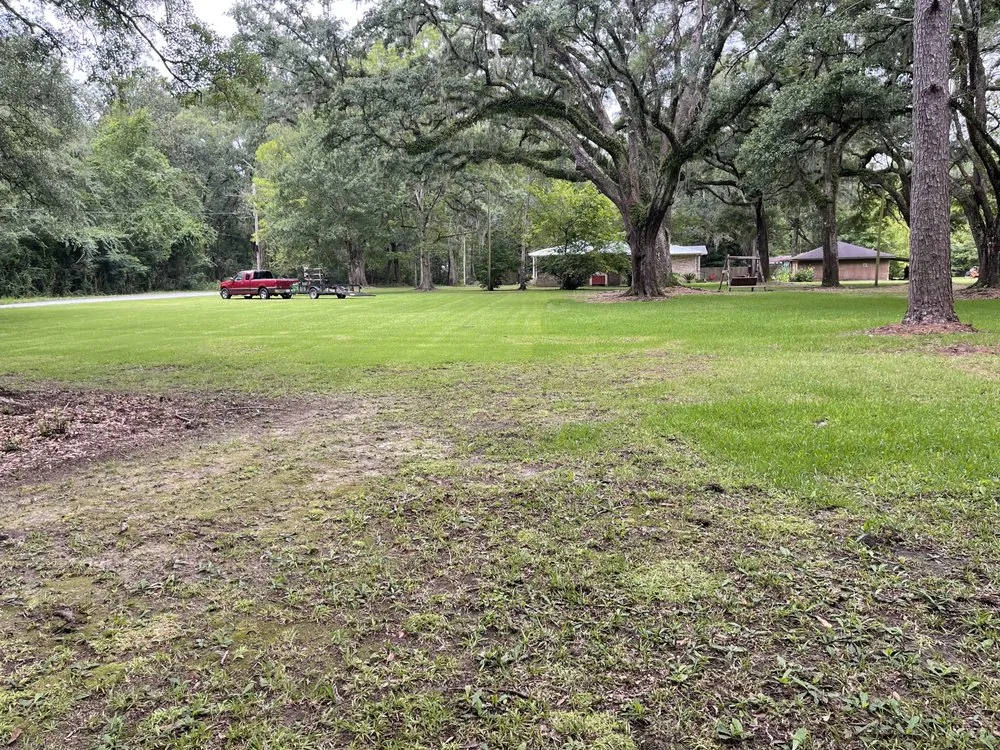 Professional outdoor landscaping for beautiful yards in Pascagoula, MS by Pass Point Lawn