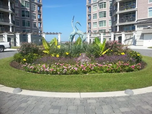 Trusted yard maintenance in Mount Pleasant, SC by Passiflora Landscape & Design