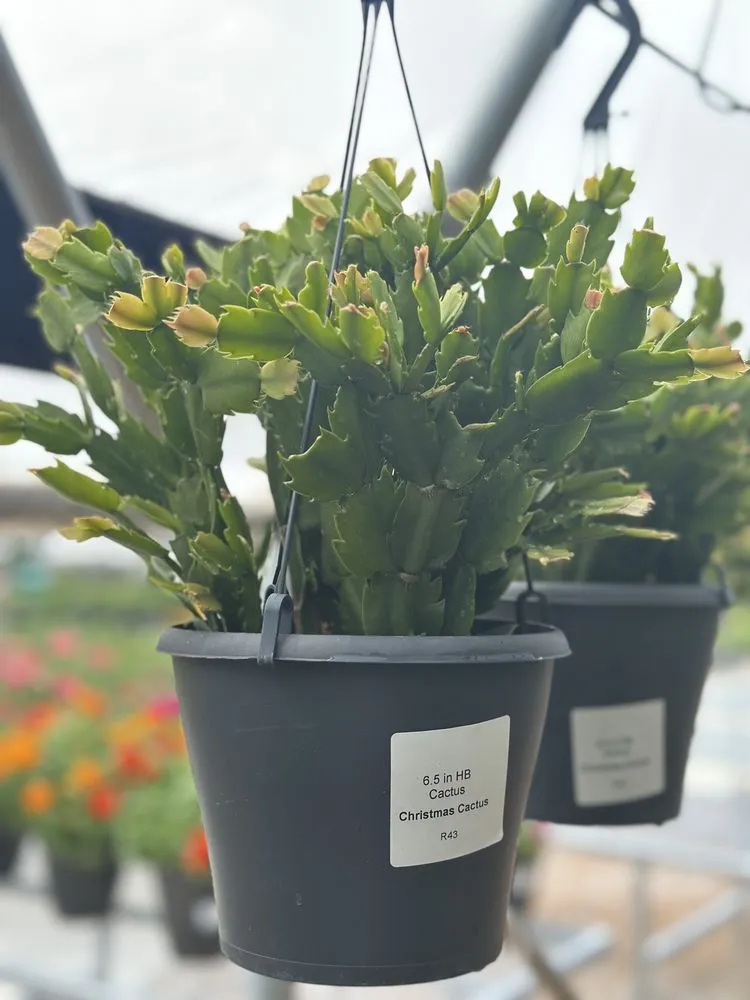 Trusted residential landscaping in Wildwood, MO - Passiglia Landscape, Nursery & Garden Center