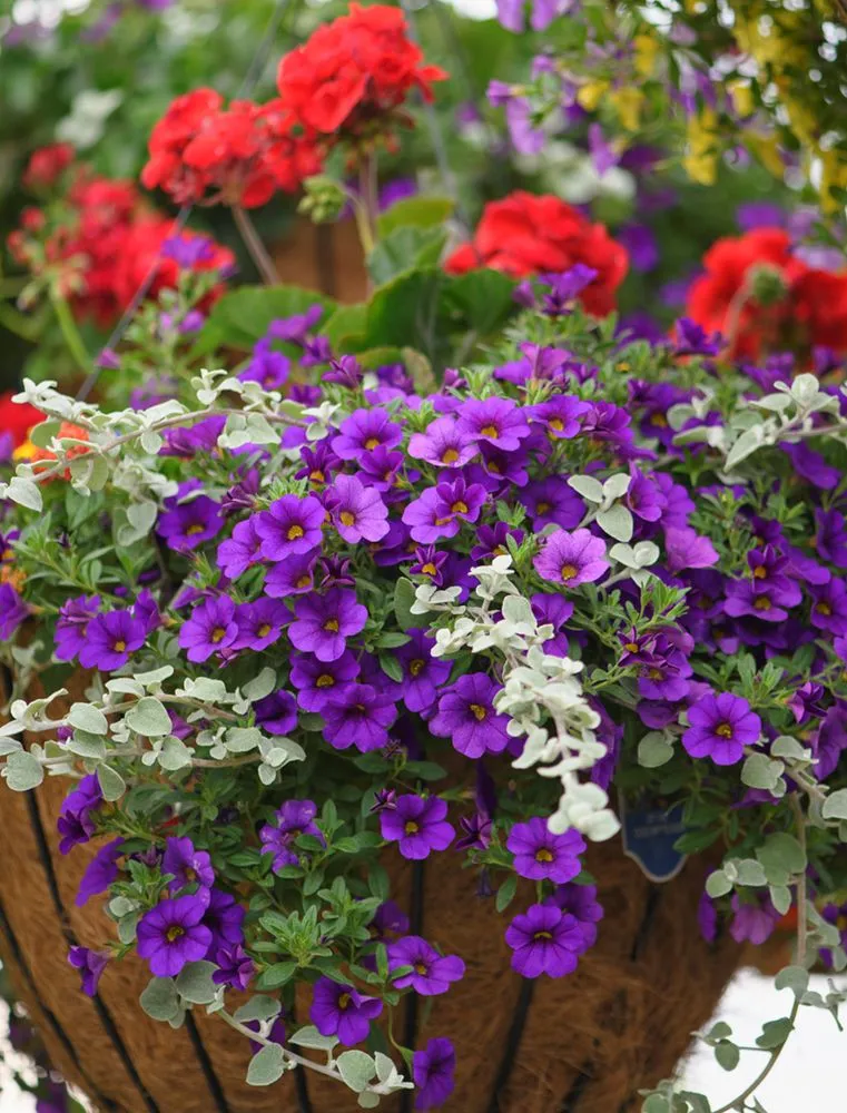 Reliable landscape installation in Wildwood, MO - Passiglia Landscape, Nursery & Garden Center