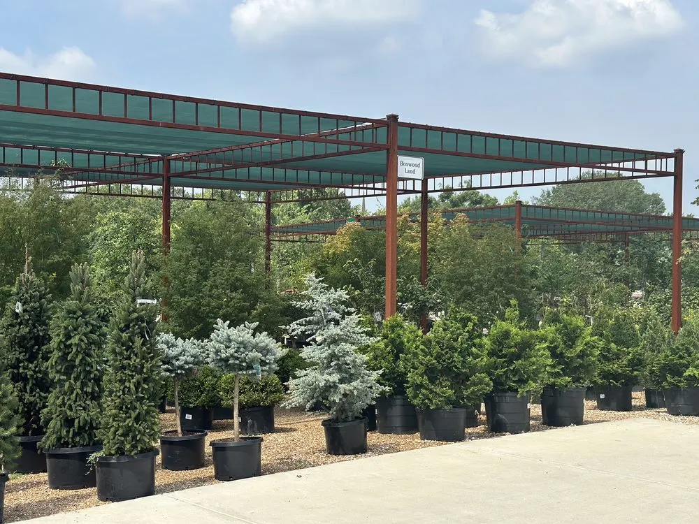 Trusted landscape installation for beautiful yards in Wildwood, MO by Passiglia Landscape, Nursery & Garden Center