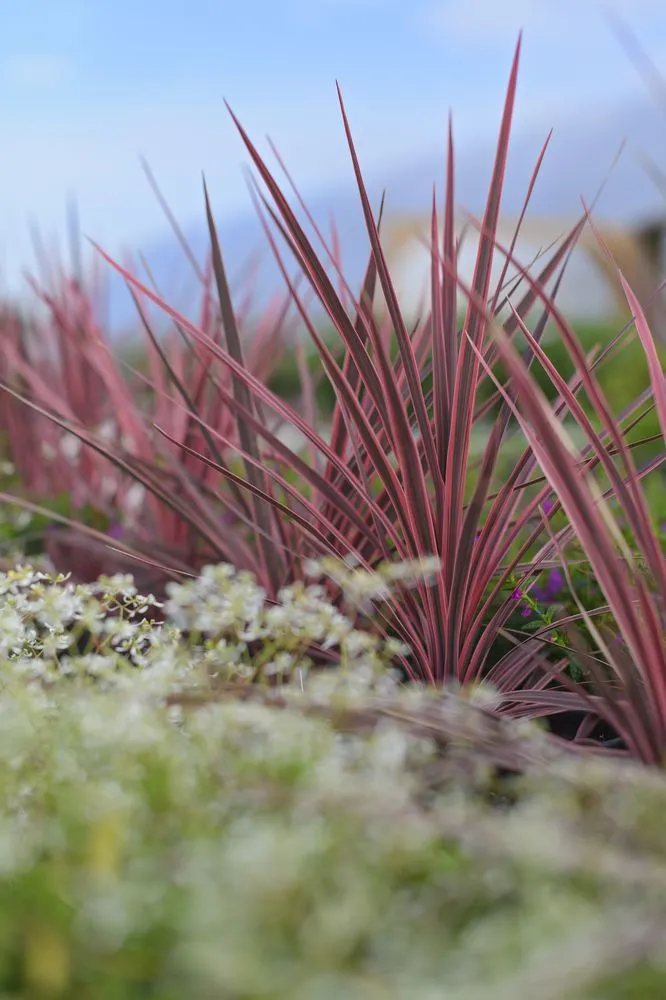 Custom yard maintenance in Wildwood, MO by Passiglia Landscape, Nursery & Garden Center