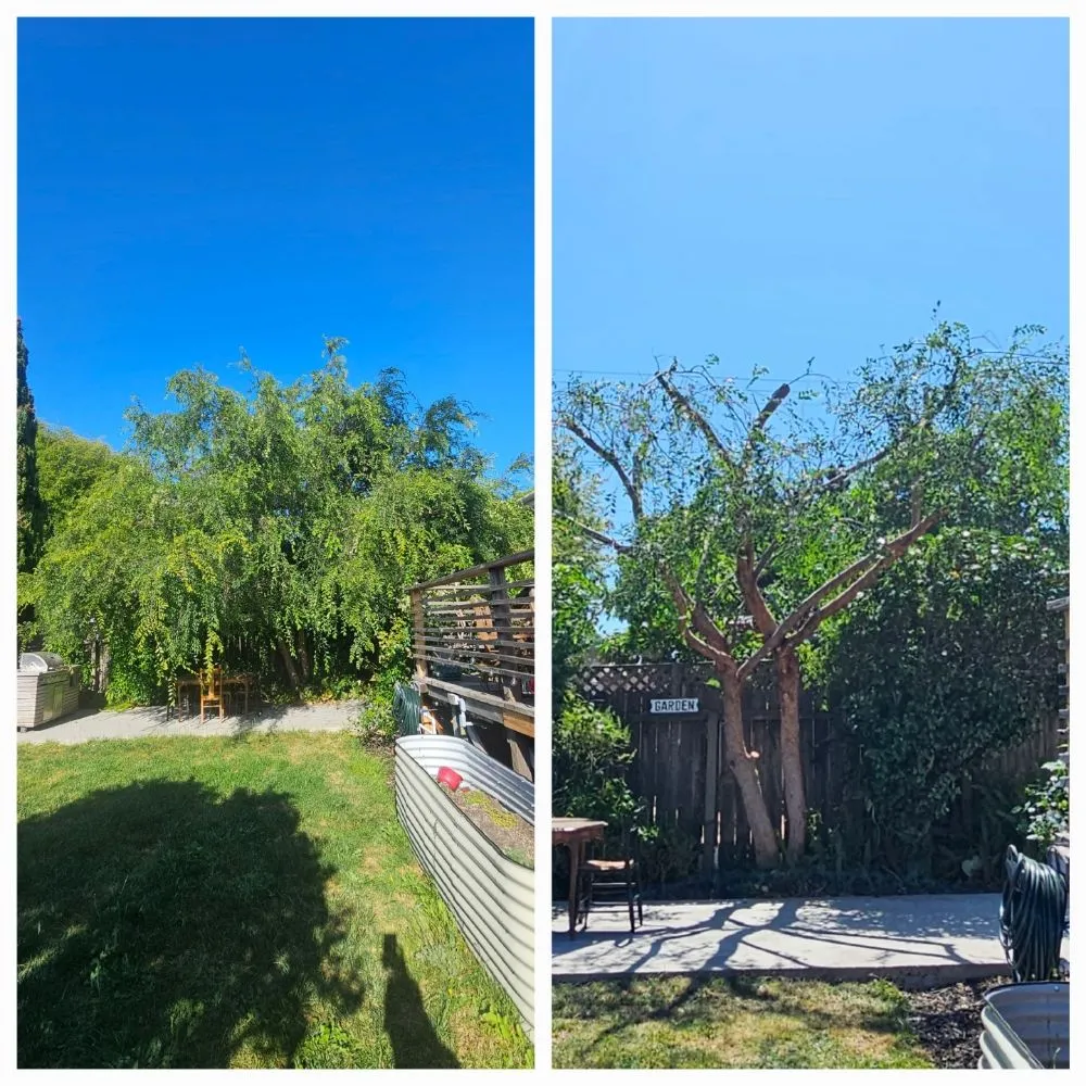 Affordable landscape installation experts serving Hercules, CA - Passion & Janel Landscaping