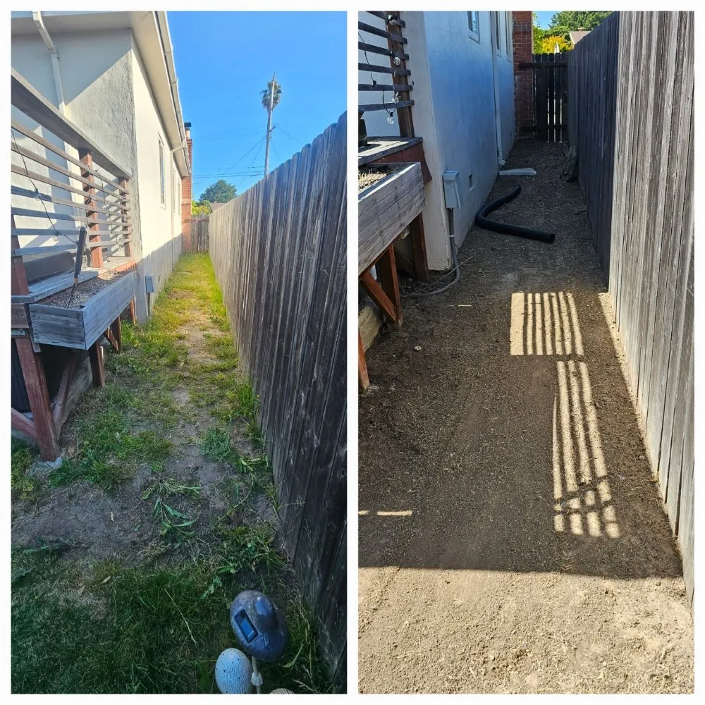 Reliable garden landscaping for outdoor upgrades in Hercules, CA by Passion & Janel Landscaping