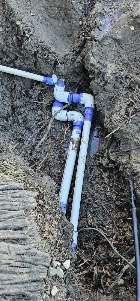 Affordable landscaping services for homes in Hercules, CA by Passion & Janel Landscaping