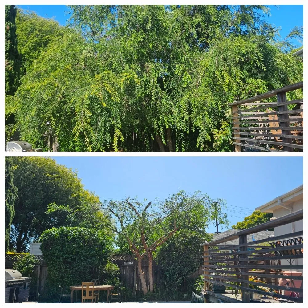 Trusted residential landscaping in Hercules, CA - Passion & Janel Landscaping