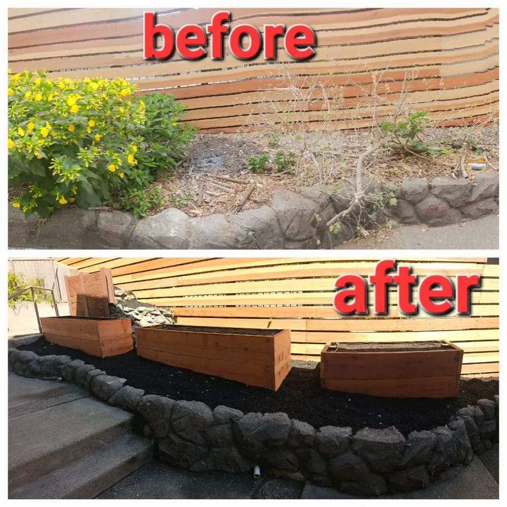 Top-rated lawn care service in Hercules, CA by Passion & Janel Landscaping