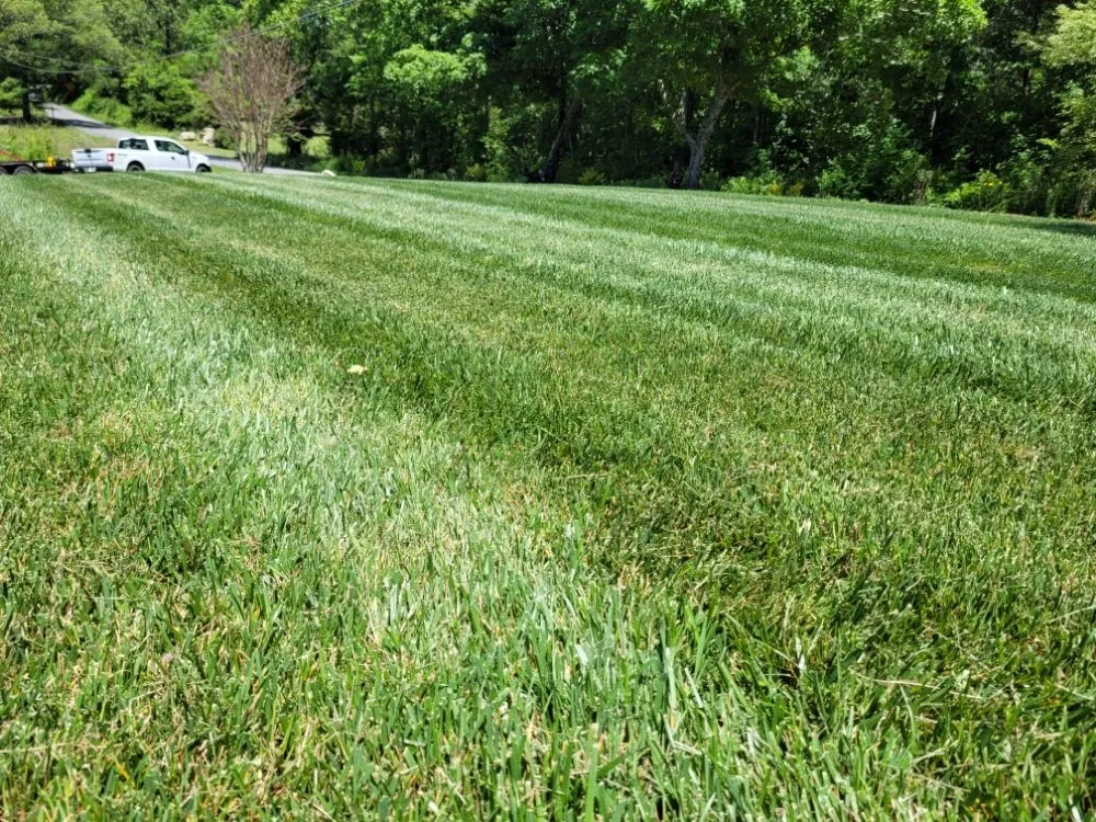 Trusted residential landscaping experts serving Kingston, GA - Passion Lawn Care