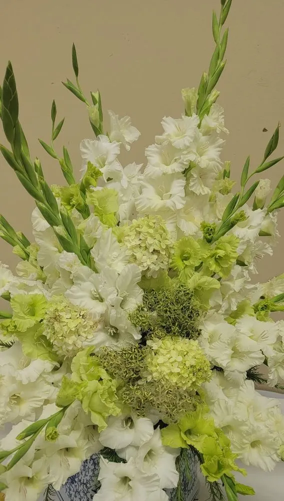 Local yard cleanup service in Waverly, TN - Passion Lawncare and Junk Removal