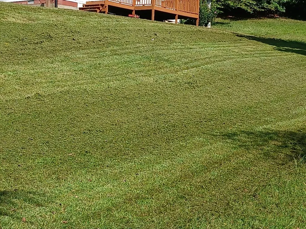 Custom garden landscaping in Waverly, TN by Passion Lawncare and Junk Removal