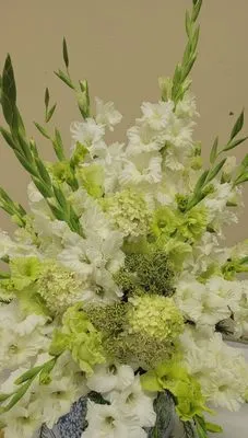 Passion Lawncare and Junk Removal