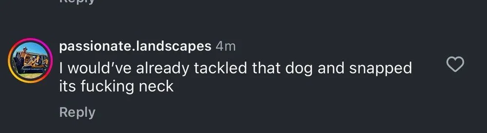 Custom yard cleanup service near you across Lake Tapps, WA - Passionate Landscapes