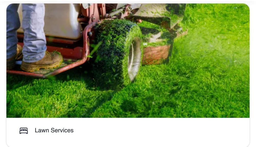 Affordable lawn mowing service with custom design in Jersey City, NJ by Passionate Visions Property Preservations