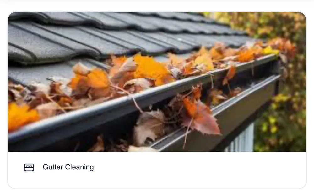 Professional landscape design in Jersey City, NJ by Passionate Visions Property Preservations