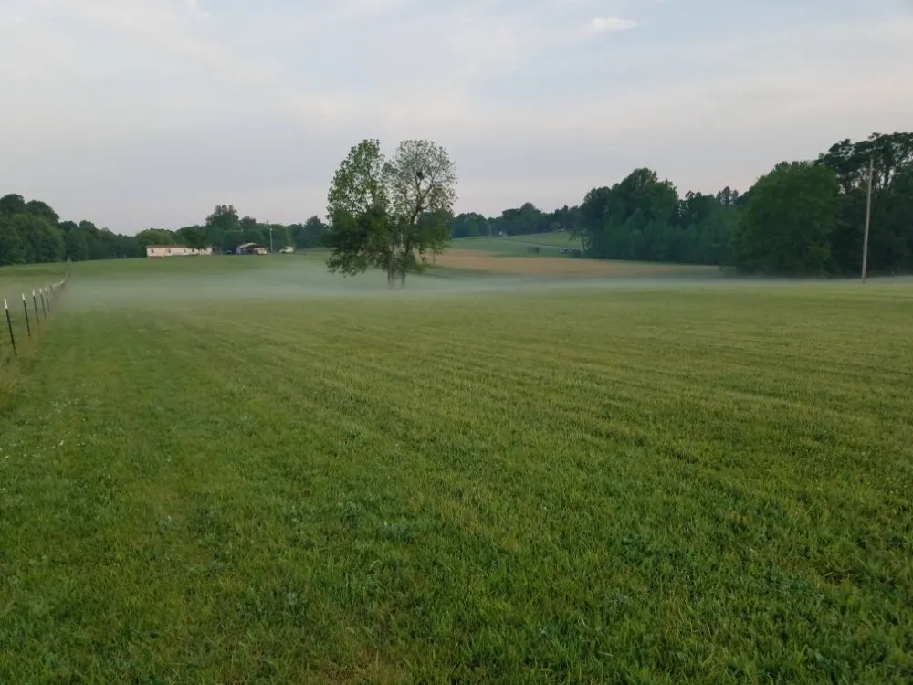 Professional residential landscaping for residential properties across Lafayette, TN - Passmore Grass