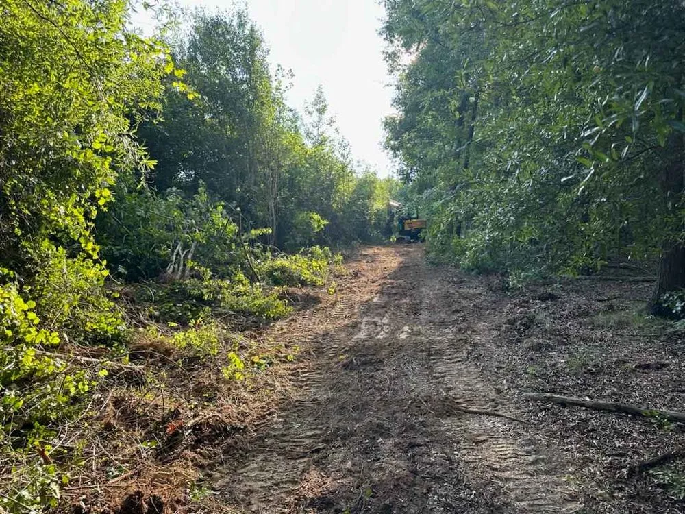 Trusted residential landscaping for homes in Rock Hill, SC by Past The Pine