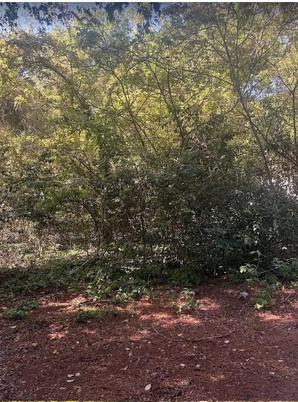 Top-rated landscape installation near you across Rock Hill, SC - Past The Pine