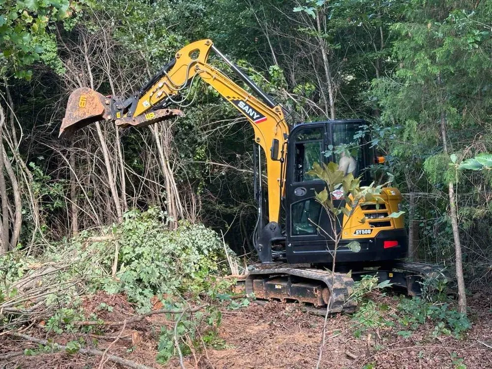 Affordable yard cleanup service for year-round maintenance in Rock Hill, SC by Past The Pine