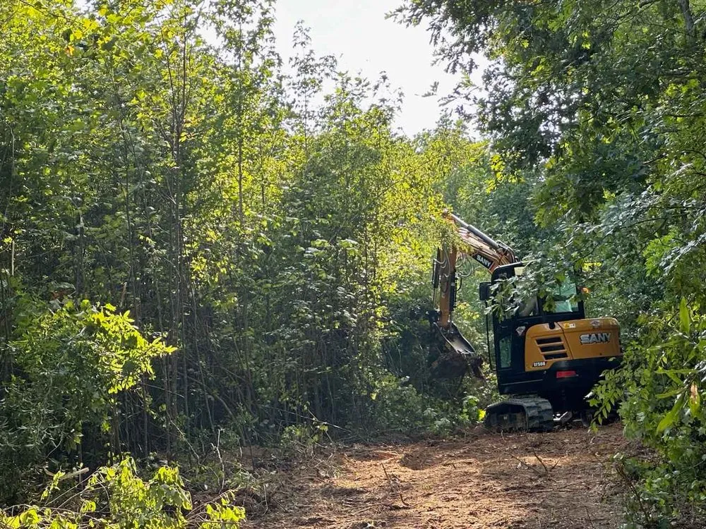 Trusted landscape design in Rock Hill, SC by Past The Pine