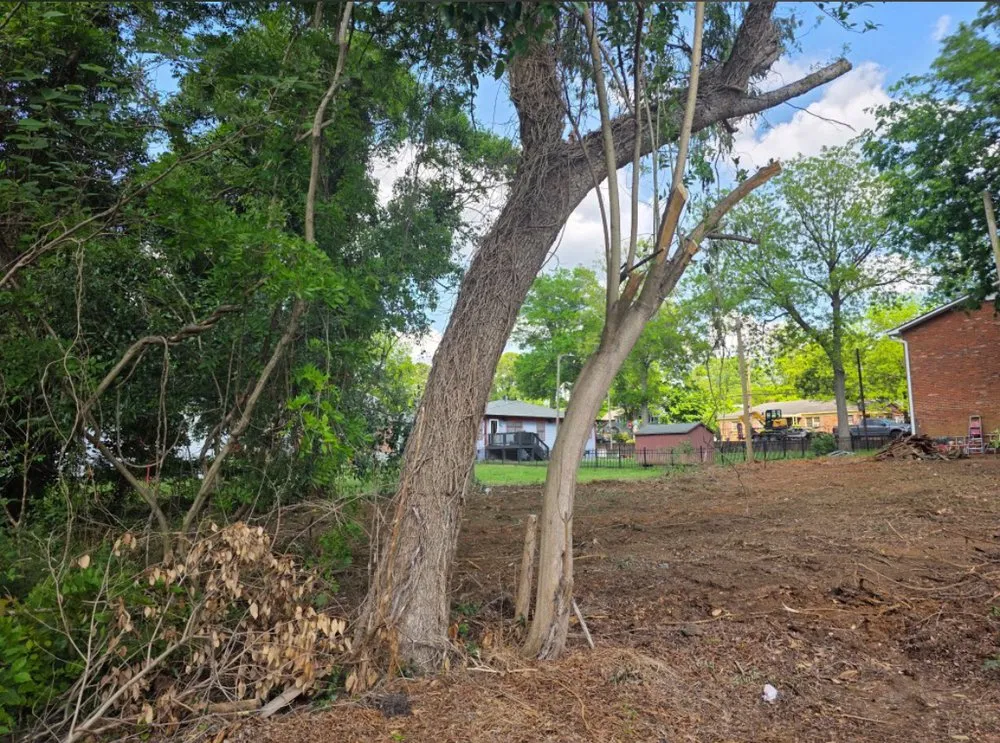Trusted outdoor landscaping experts serving Rock Hill, SC - Past The Pine